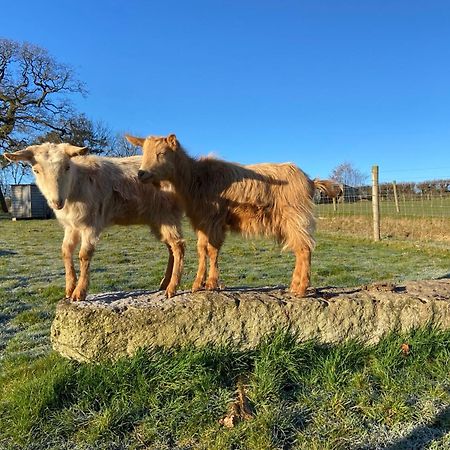 Lovaton Farmhouse Okehampton Ngoại thất bức ảnh
