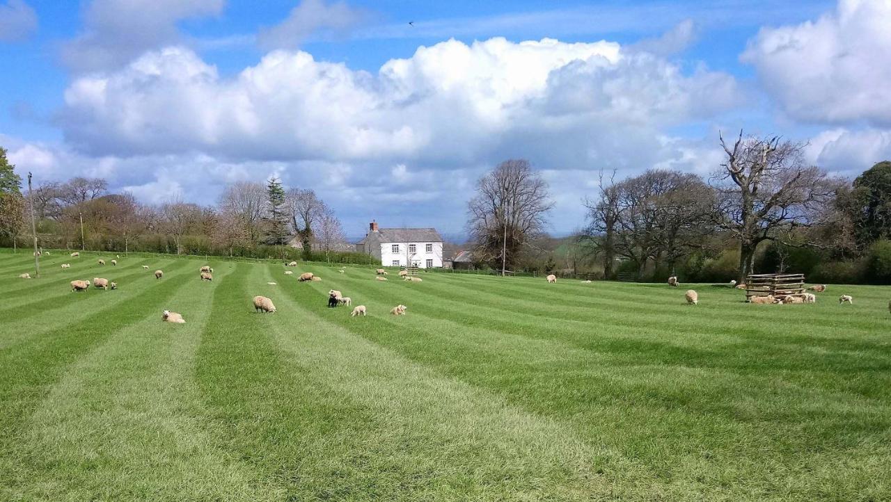 Lovaton Farmhouse Okehampton Ngoại thất bức ảnh