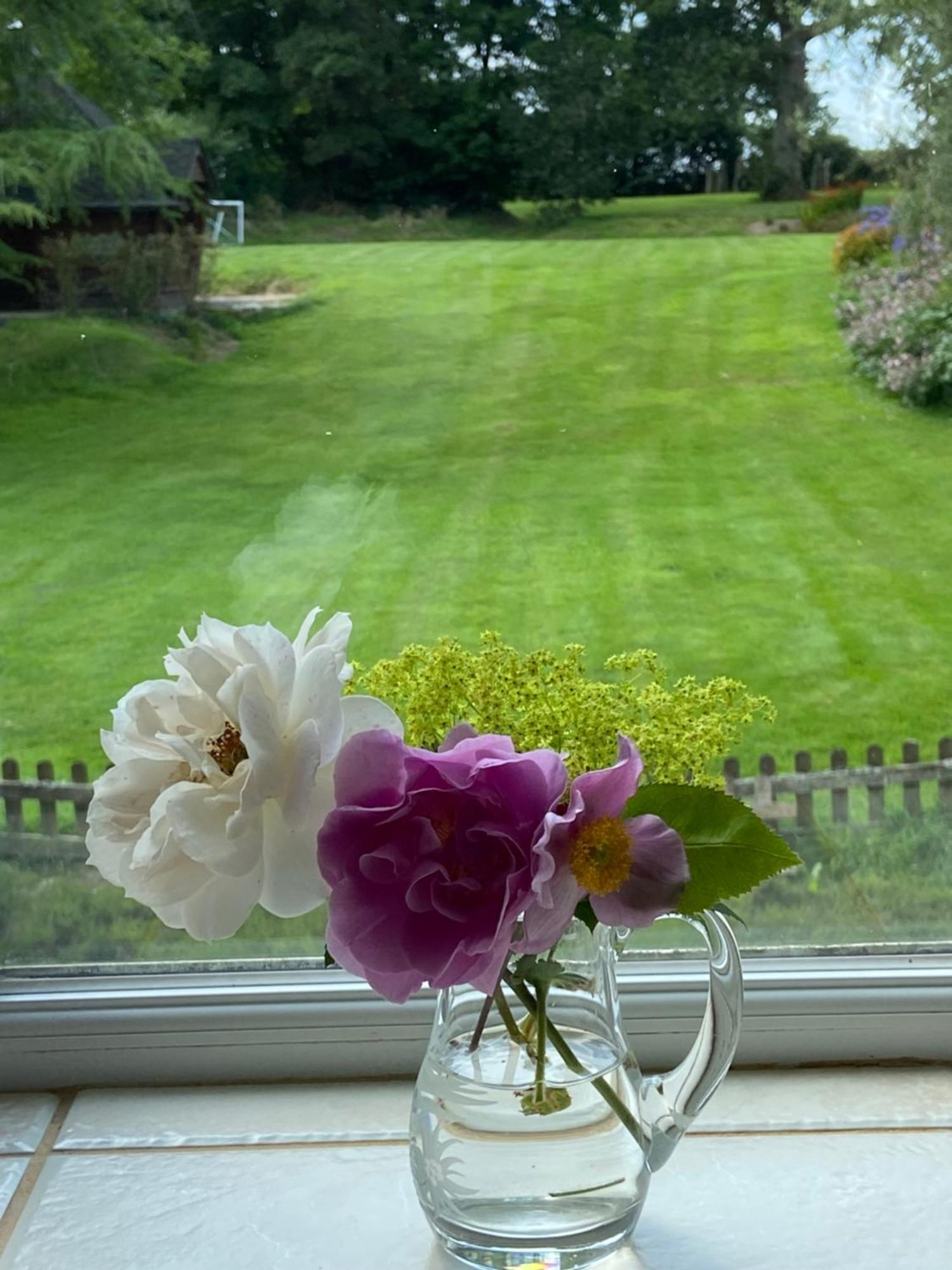 Lovaton Farmhouse Okehampton Ngoại thất bức ảnh