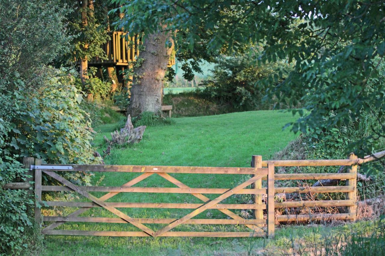 Lovaton Farmhouse Okehampton Ngoại thất bức ảnh