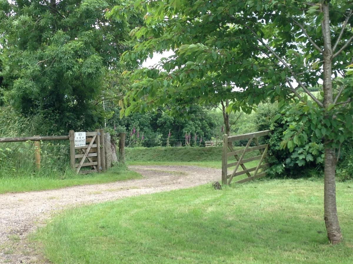 Lovaton Farmhouse Okehampton Ngoại thất bức ảnh