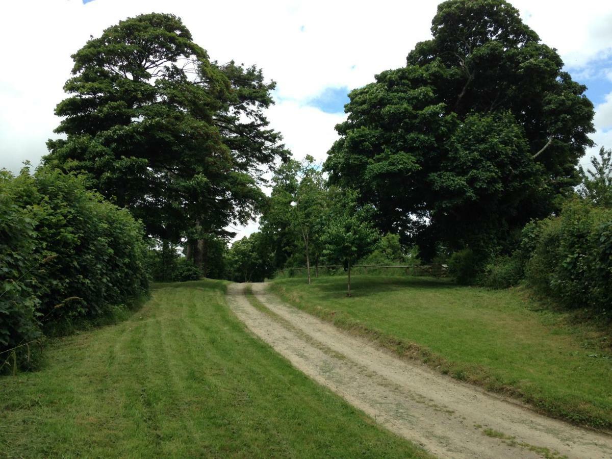 Lovaton Farmhouse Okehampton Ngoại thất bức ảnh