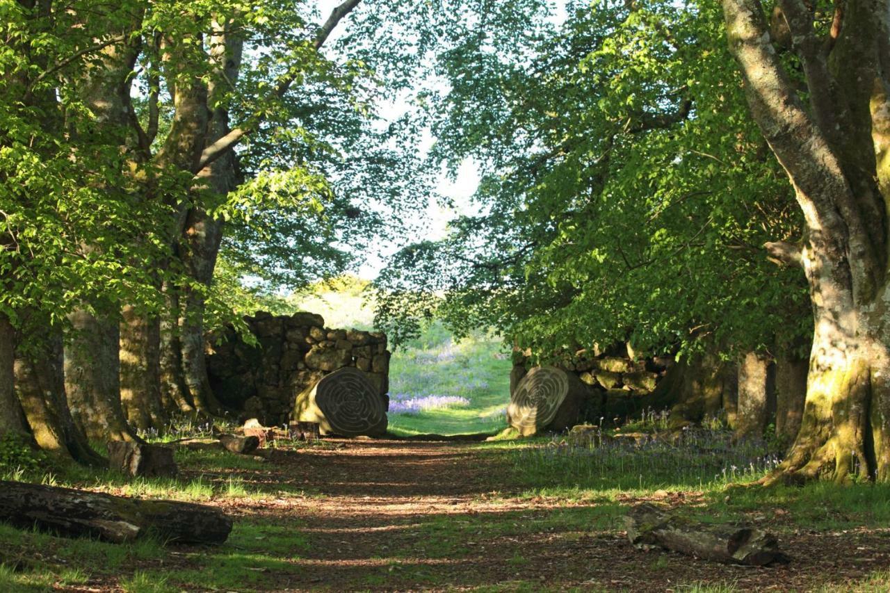 Lovaton Farmhouse Okehampton Ngoại thất bức ảnh
