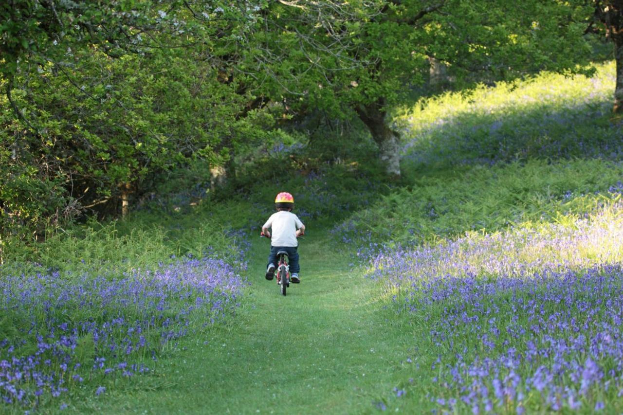 Lovaton Farmhouse Okehampton Ngoại thất bức ảnh