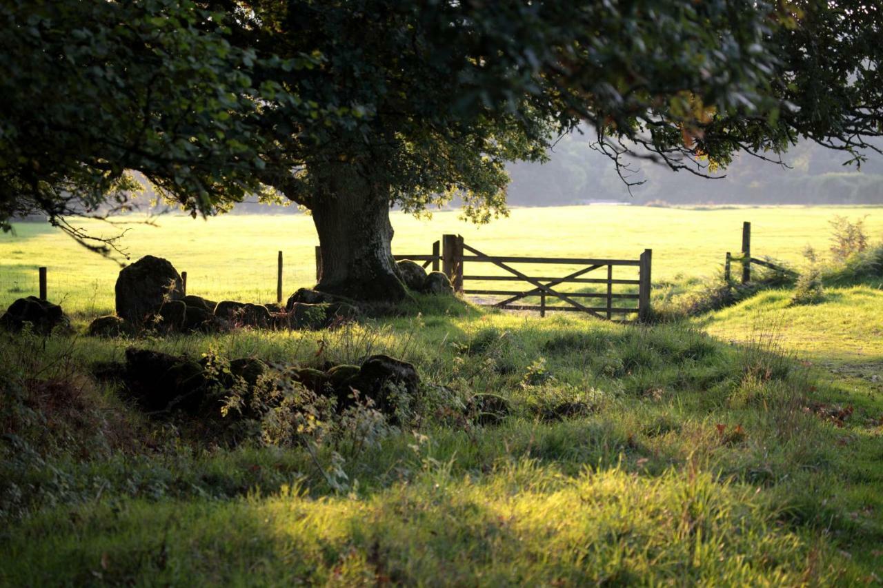 Lovaton Farmhouse Okehampton Ngoại thất bức ảnh