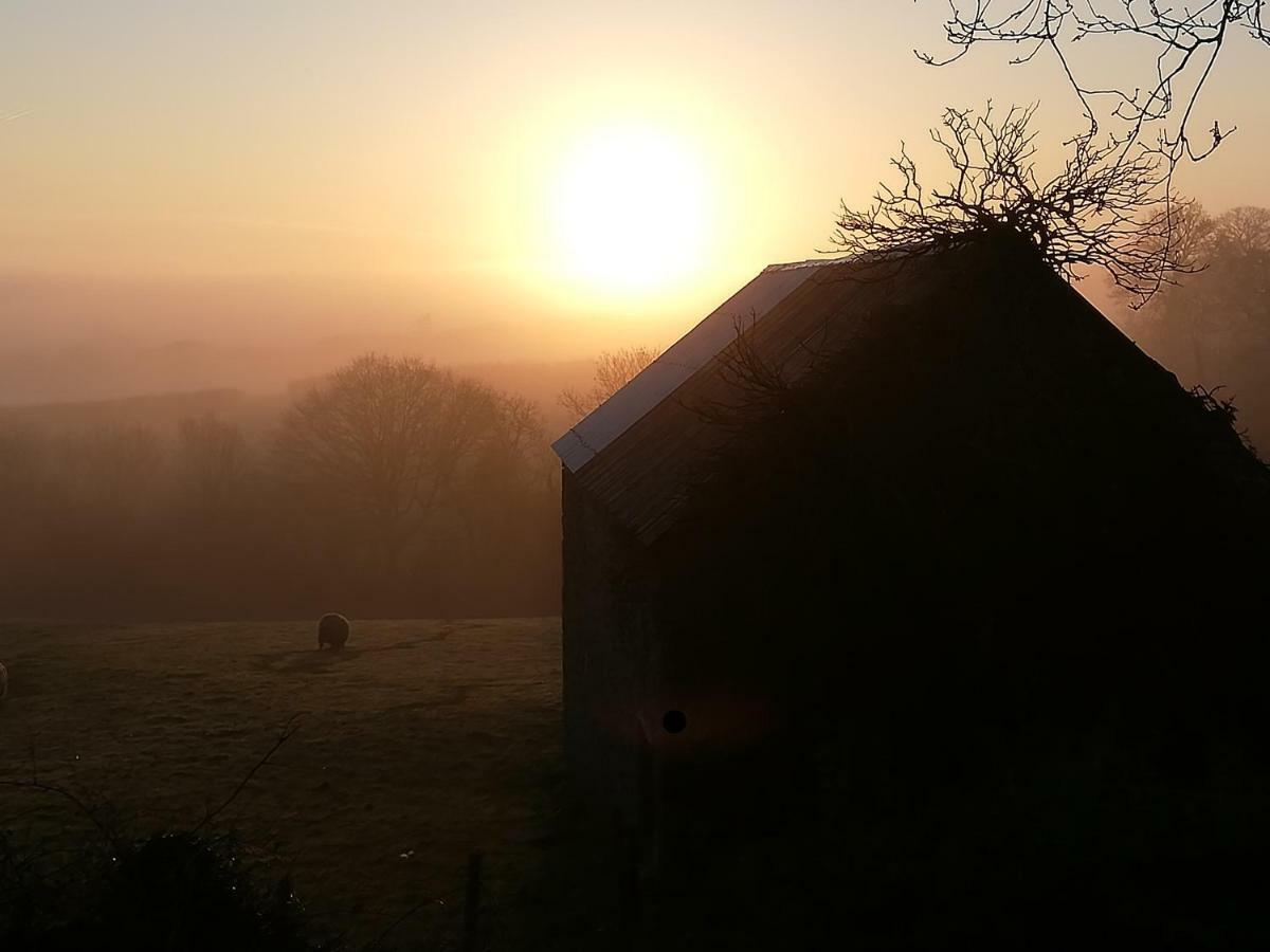 Lovaton Farmhouse Okehampton Ngoại thất bức ảnh