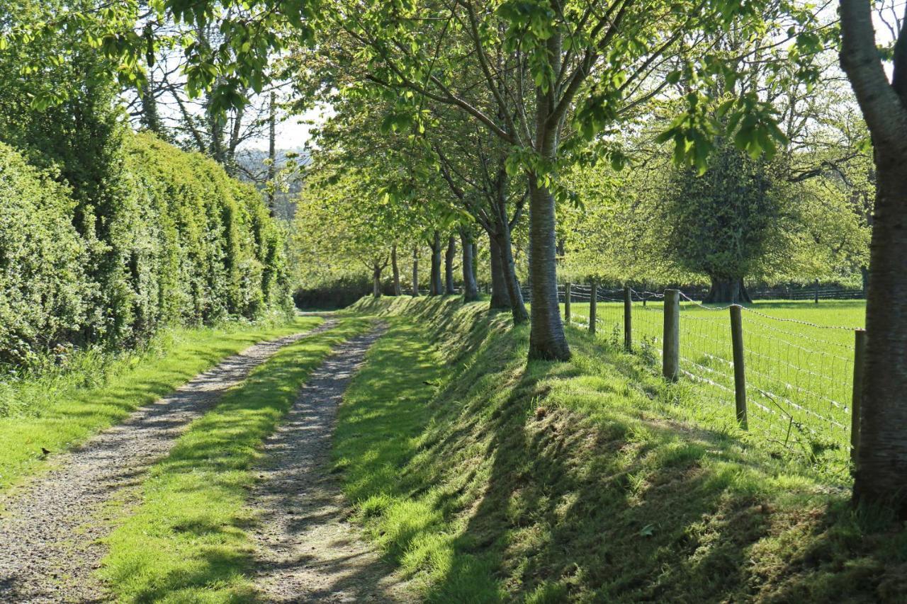Lovaton Farmhouse Okehampton Ngoại thất bức ảnh